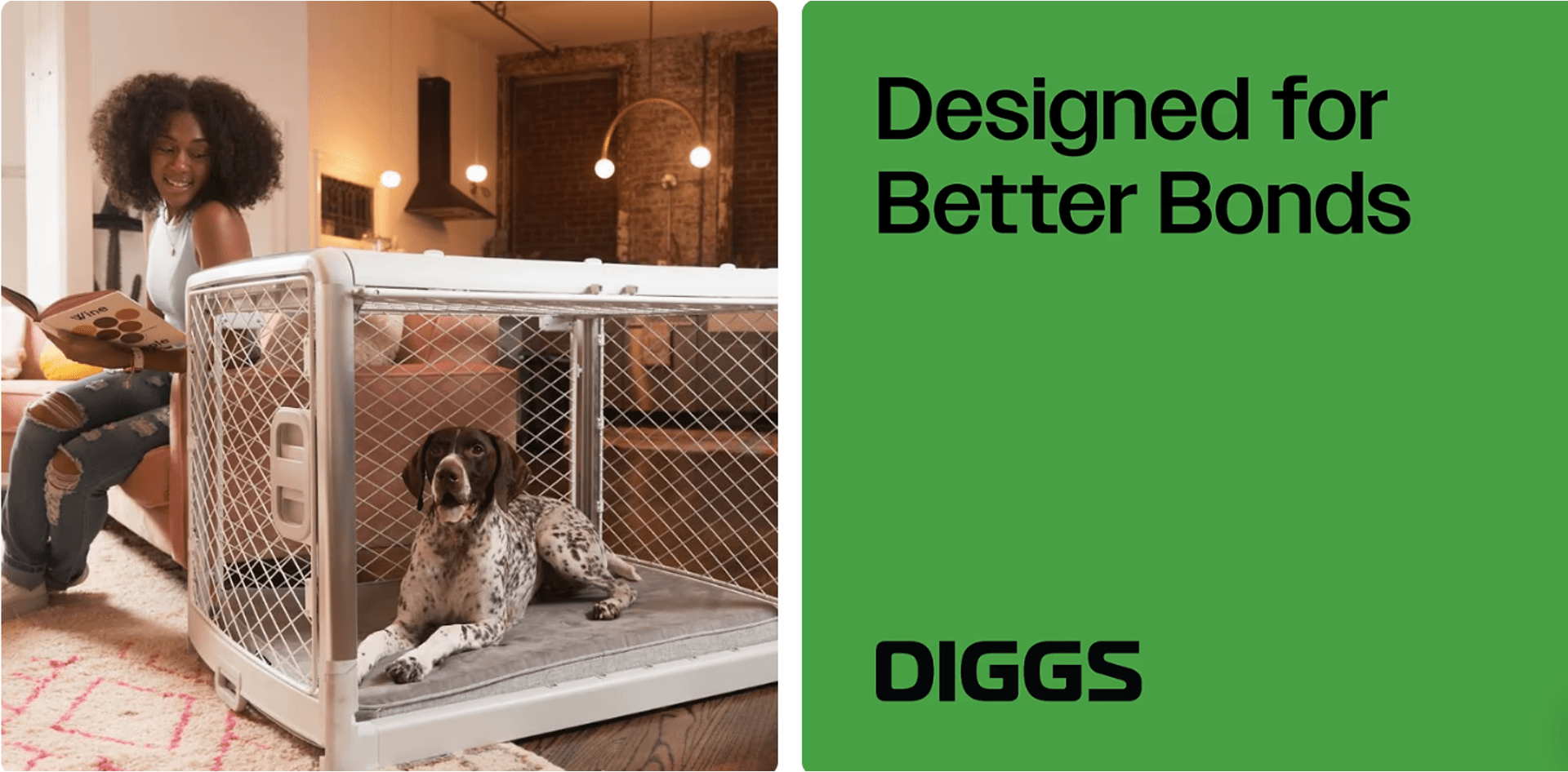 Diggs banner